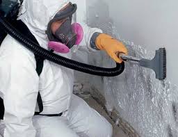 Best Mold Damage Restoration  in Checotah, OK